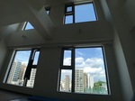 IMG_5339.jpg
